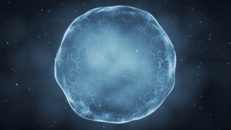 北京生物制品厂家排名背后的考量因素**