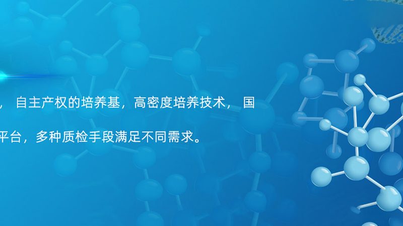 单克隆抗体亲和力检测：精准评估，确保疗效**