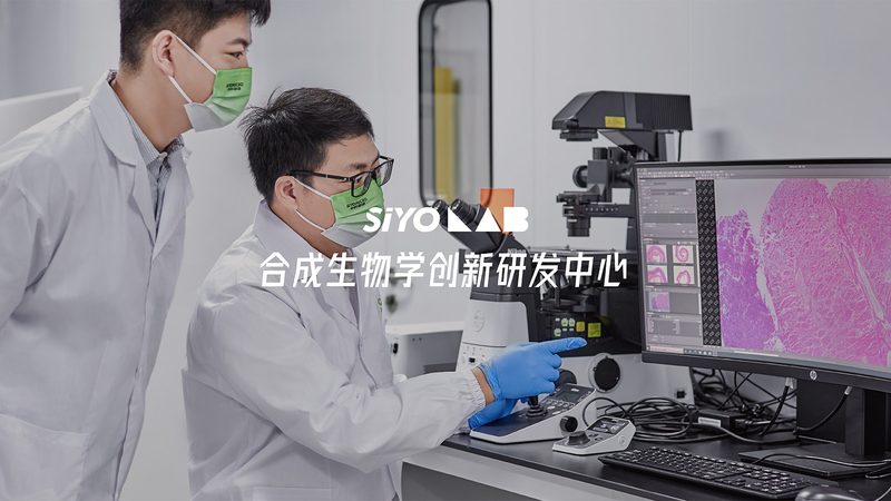 DMEM培养基PH值缓冲系统：关键参数解析与优化策略**