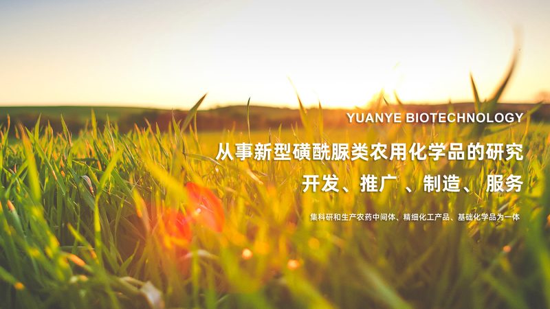 生物科技公司报价解析：揭秘定价背后的逻辑